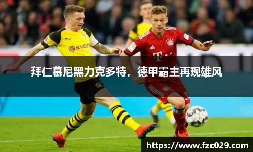 BB贝博ballbet