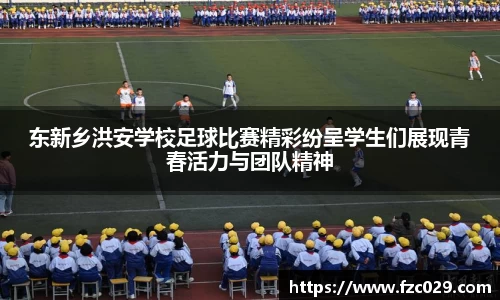 BB贝博艾佛森