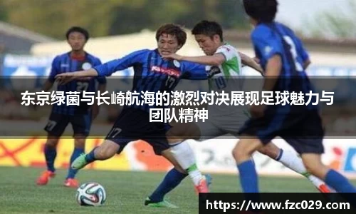 BB贝博登录入口