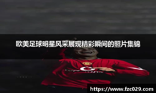 BB贝博登录入口